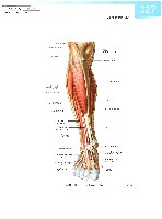 Sobotta  Atlas of Human Anatomy  Trunk, Viscera,Lower Limb Volume2 2006, page 334